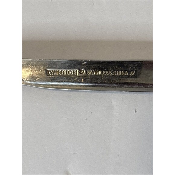 Cambridge PAIGE Stainless Glossy Silverware  Flatware Set Of 5 - Picture 15 of 16